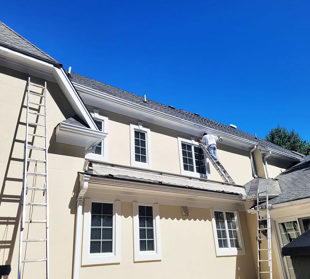 Professional Painters and Painting Contractors